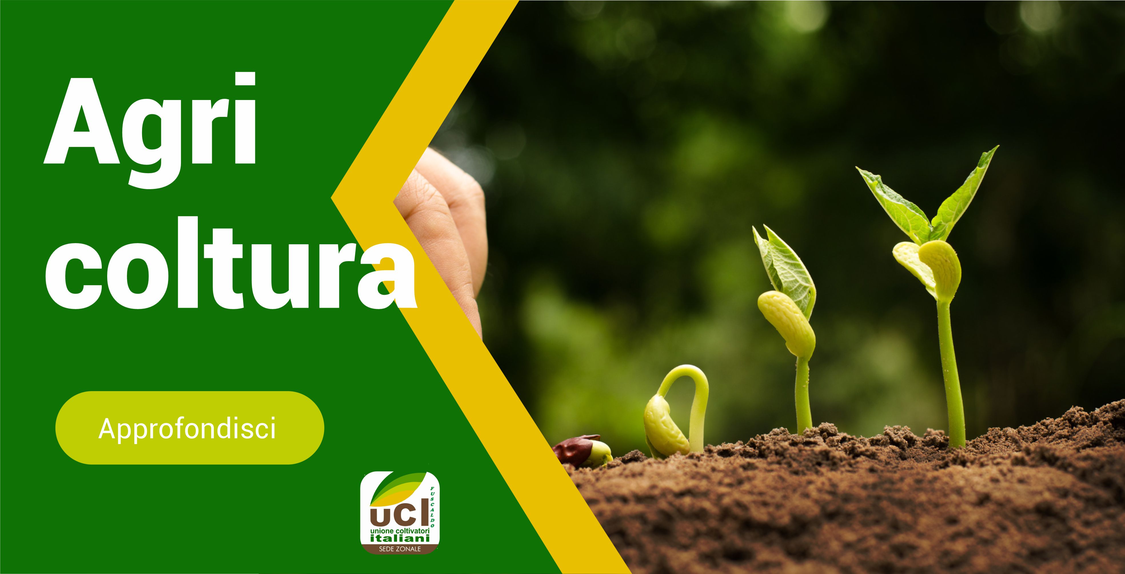 Agricoltura
