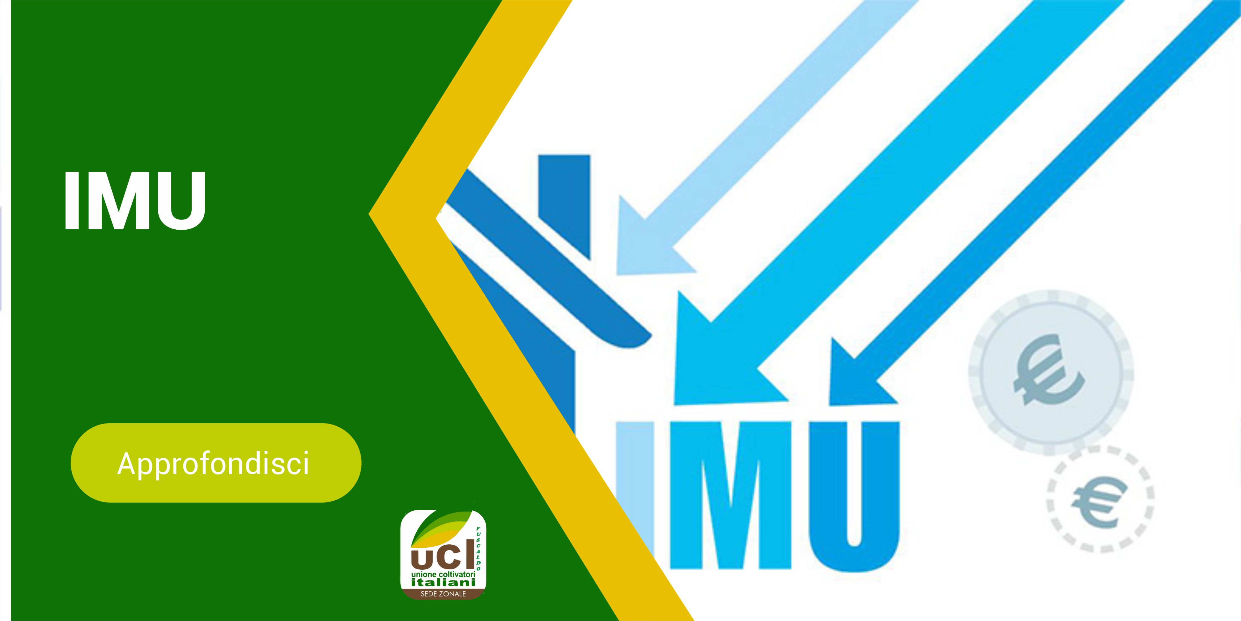 Imu