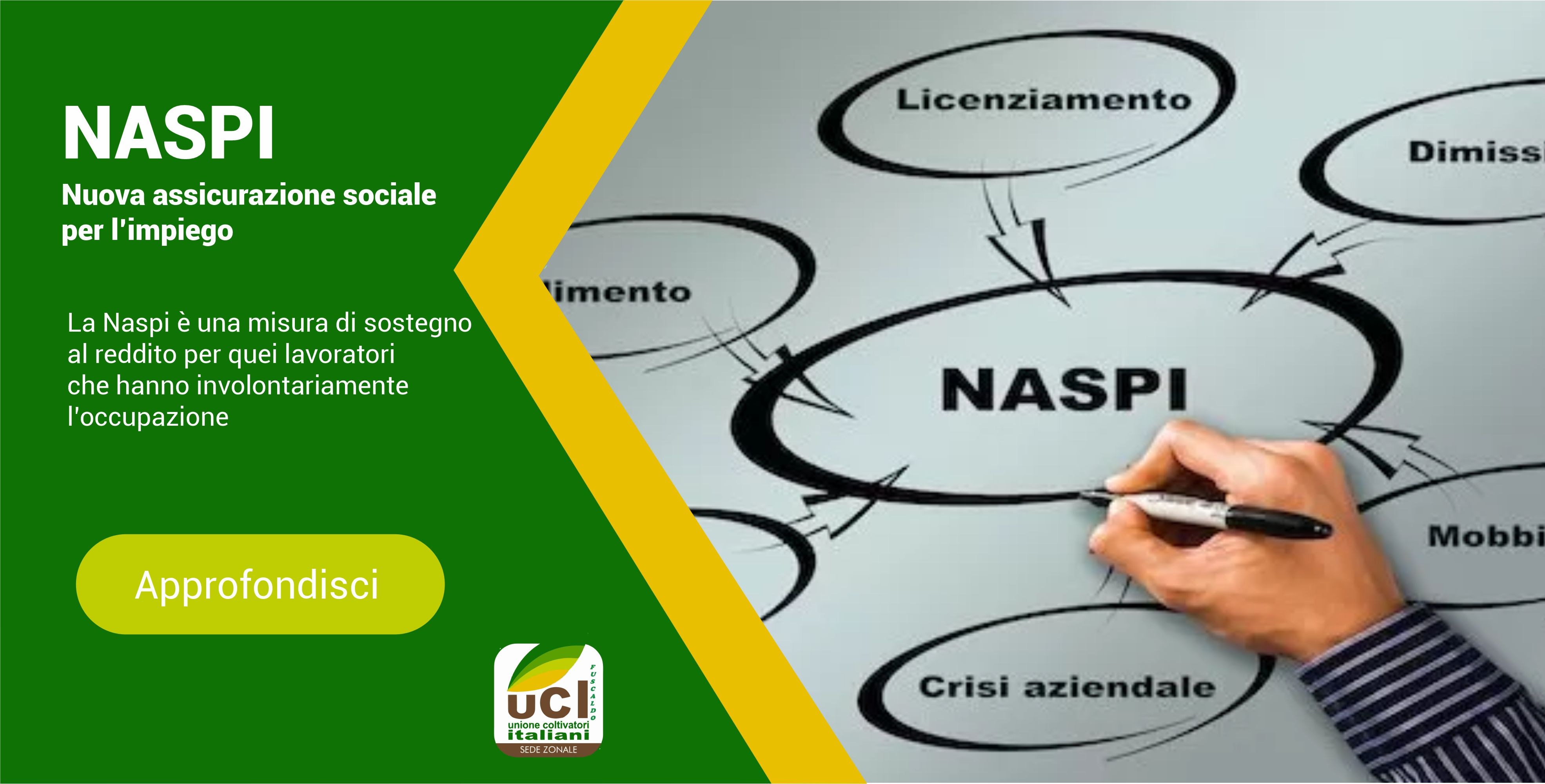 Naspi
